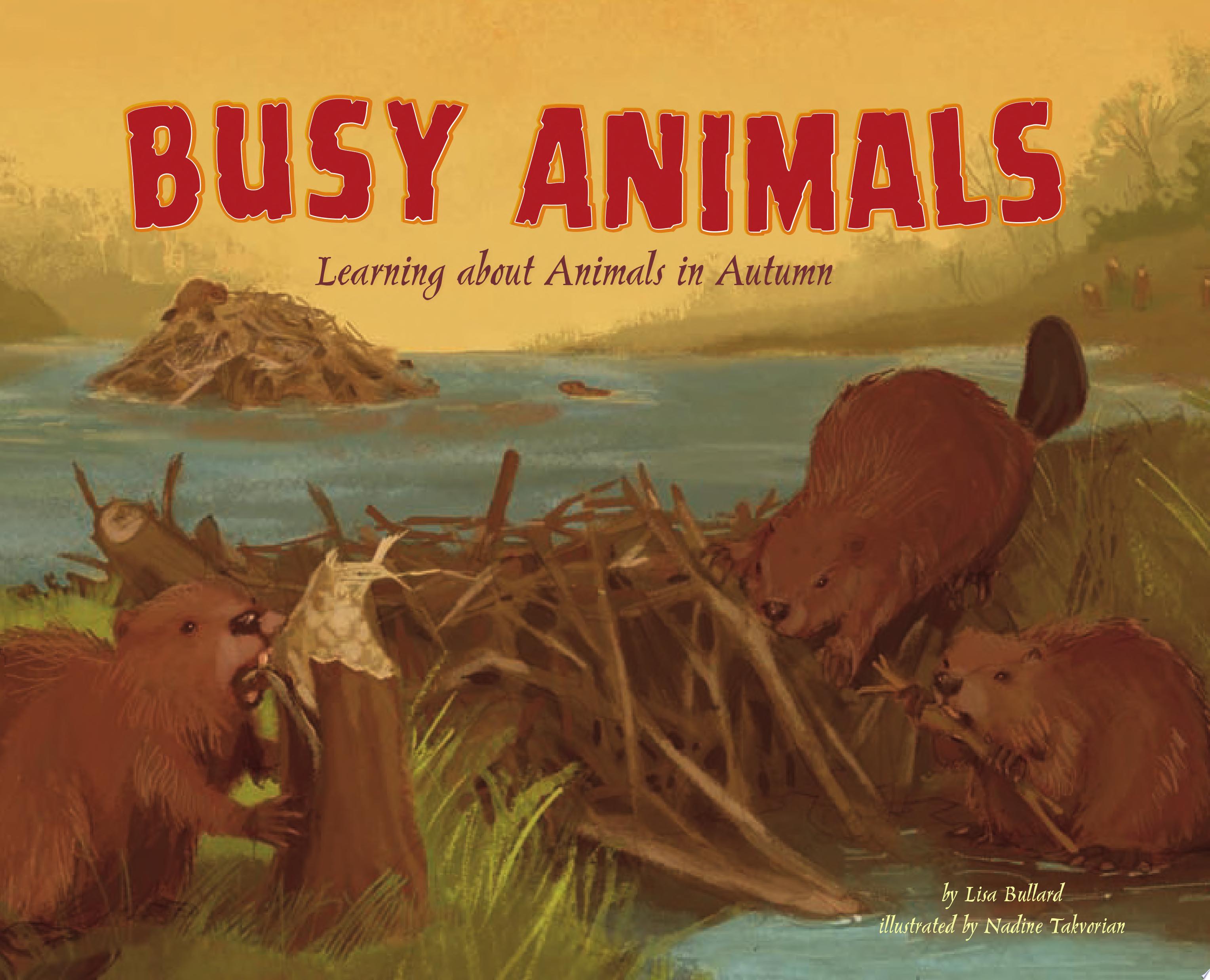 Image for "Busy Animals"