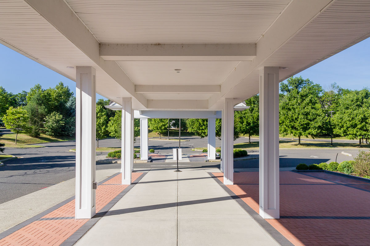 An image of the library's portico, the covered walkway to the building entrance