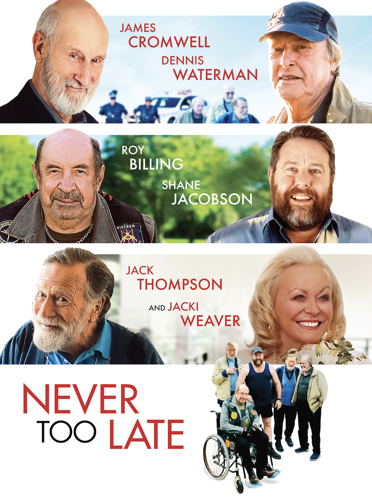 Cover of "Never Too Late"
