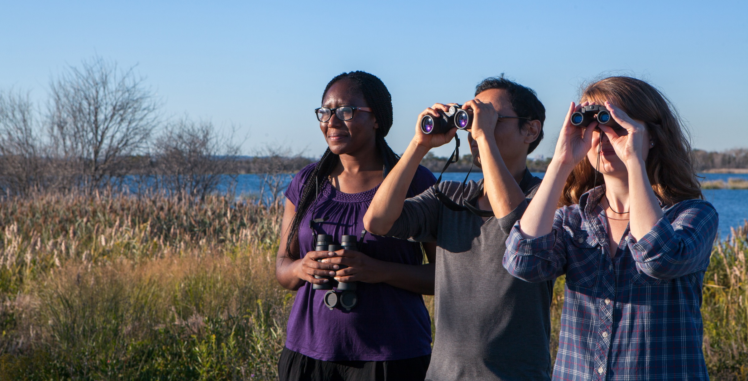 A group of bird watchers