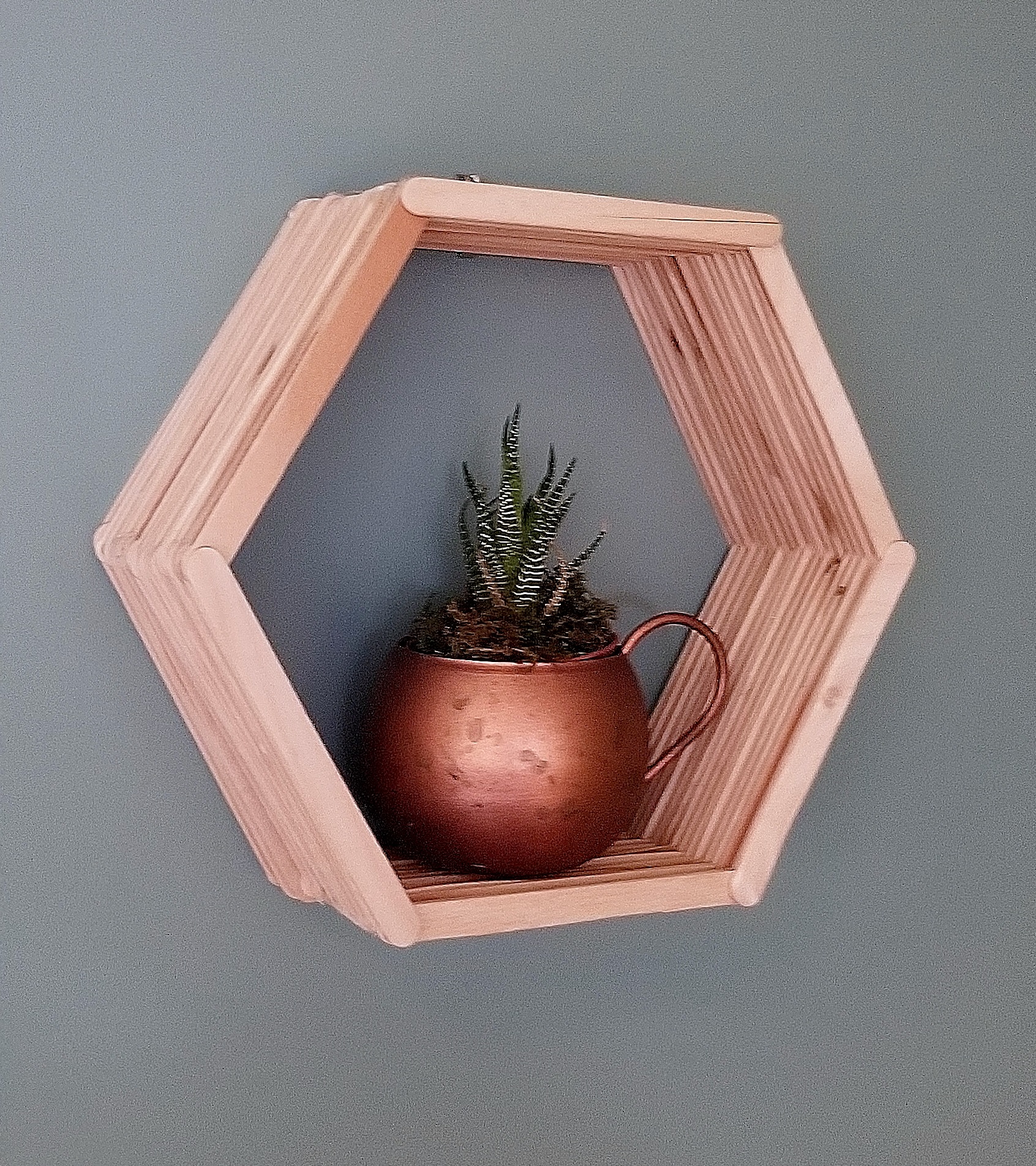 A hexagon shaped shelf with a small succulent on it