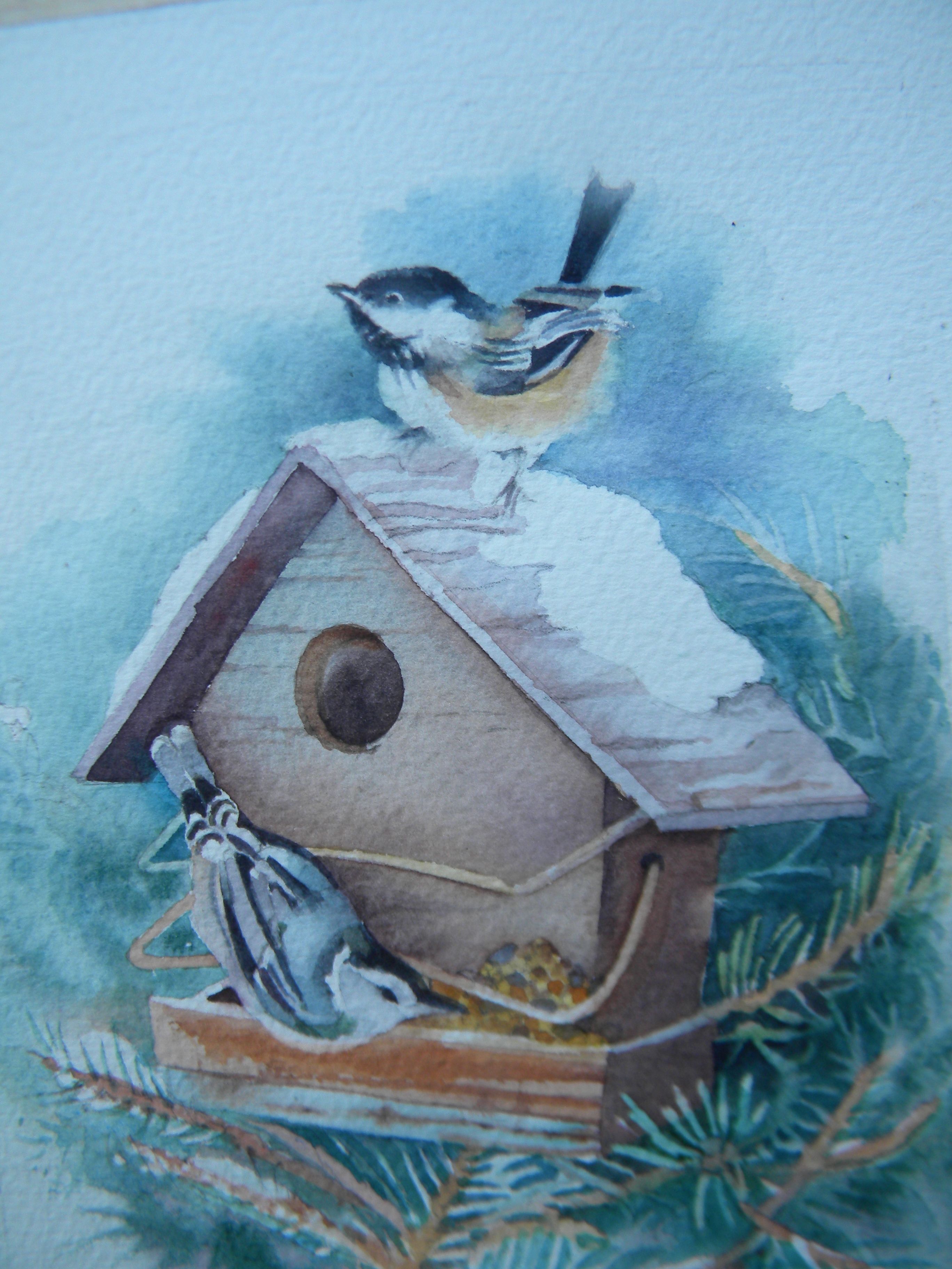 Image of birds near a birdhouse