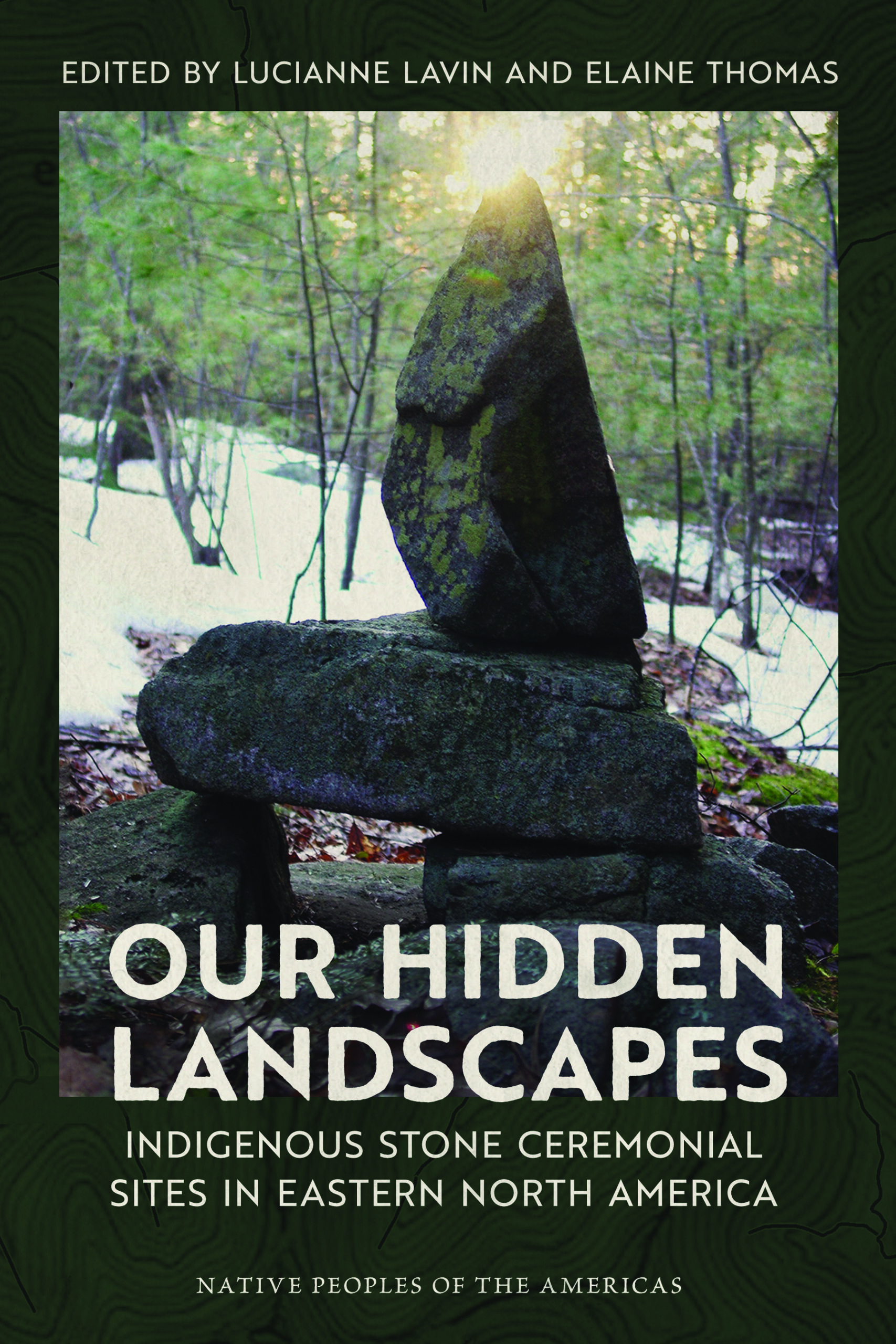Cover of "Our Hidden Landscapes" by Dr. Lucianne Lavin