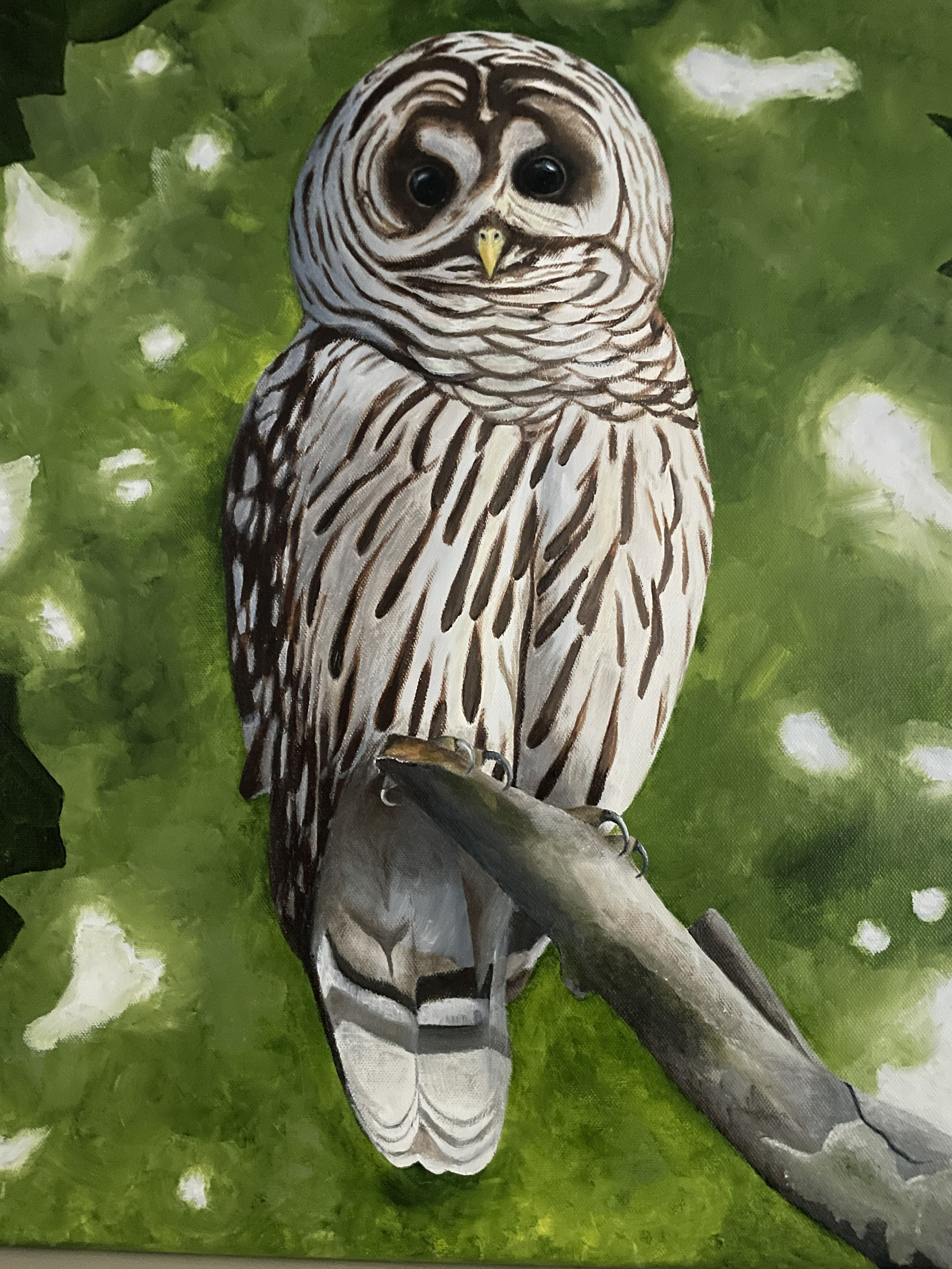 Image of an owl