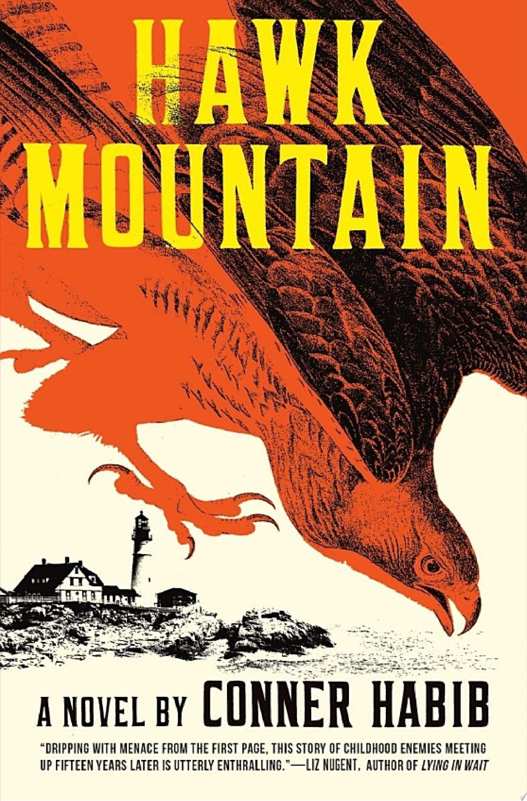Image for "Hawk Mountain: A Novel"