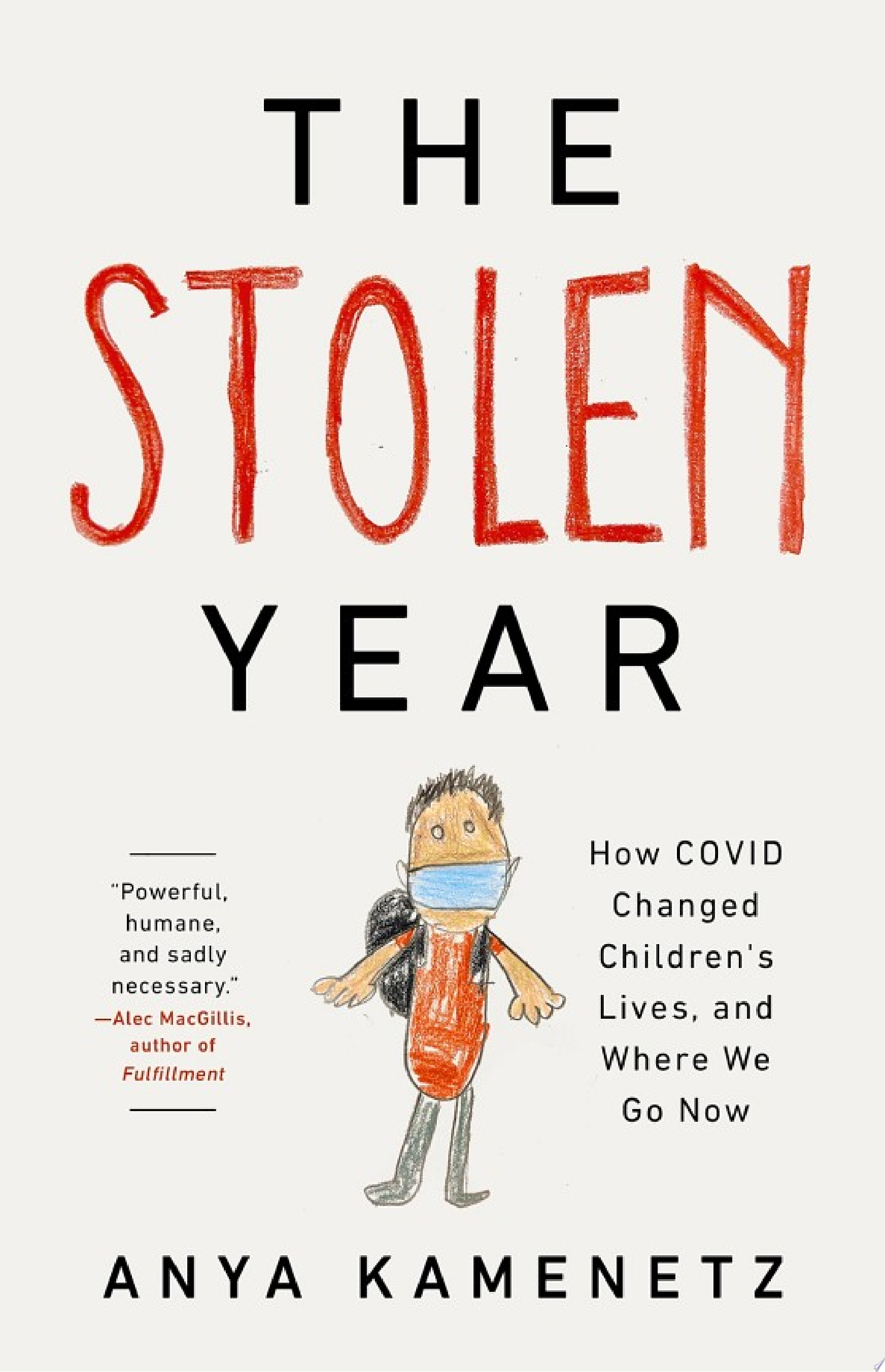 Image for "The Stolen Year"