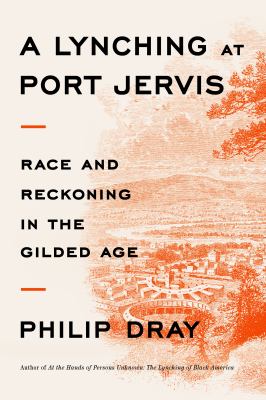 Image for "A Lynching at Port Jervis : Race and Reckoning in the Gilded Age"