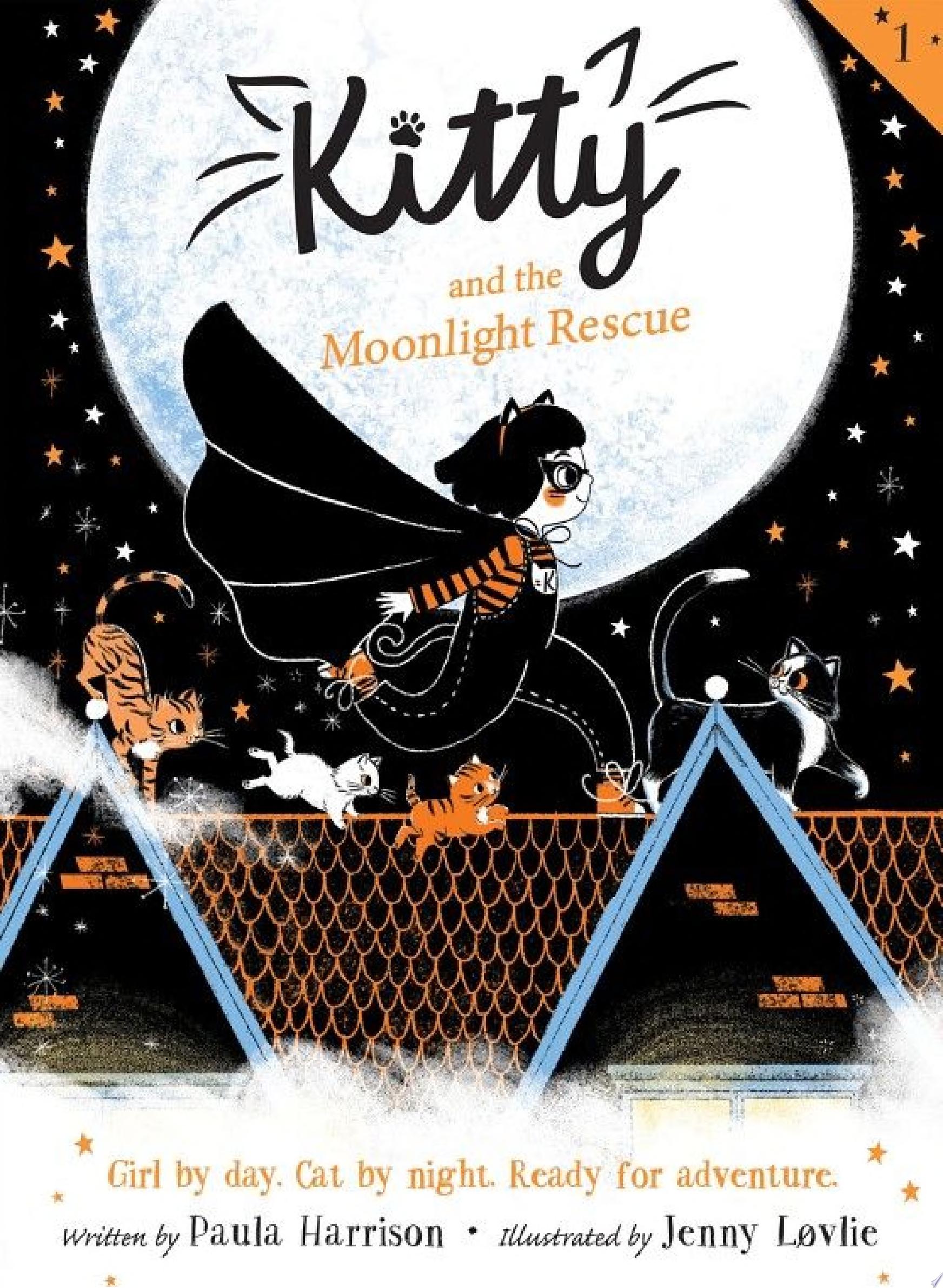 Image for "Kitty and the Moonlight Rescue"