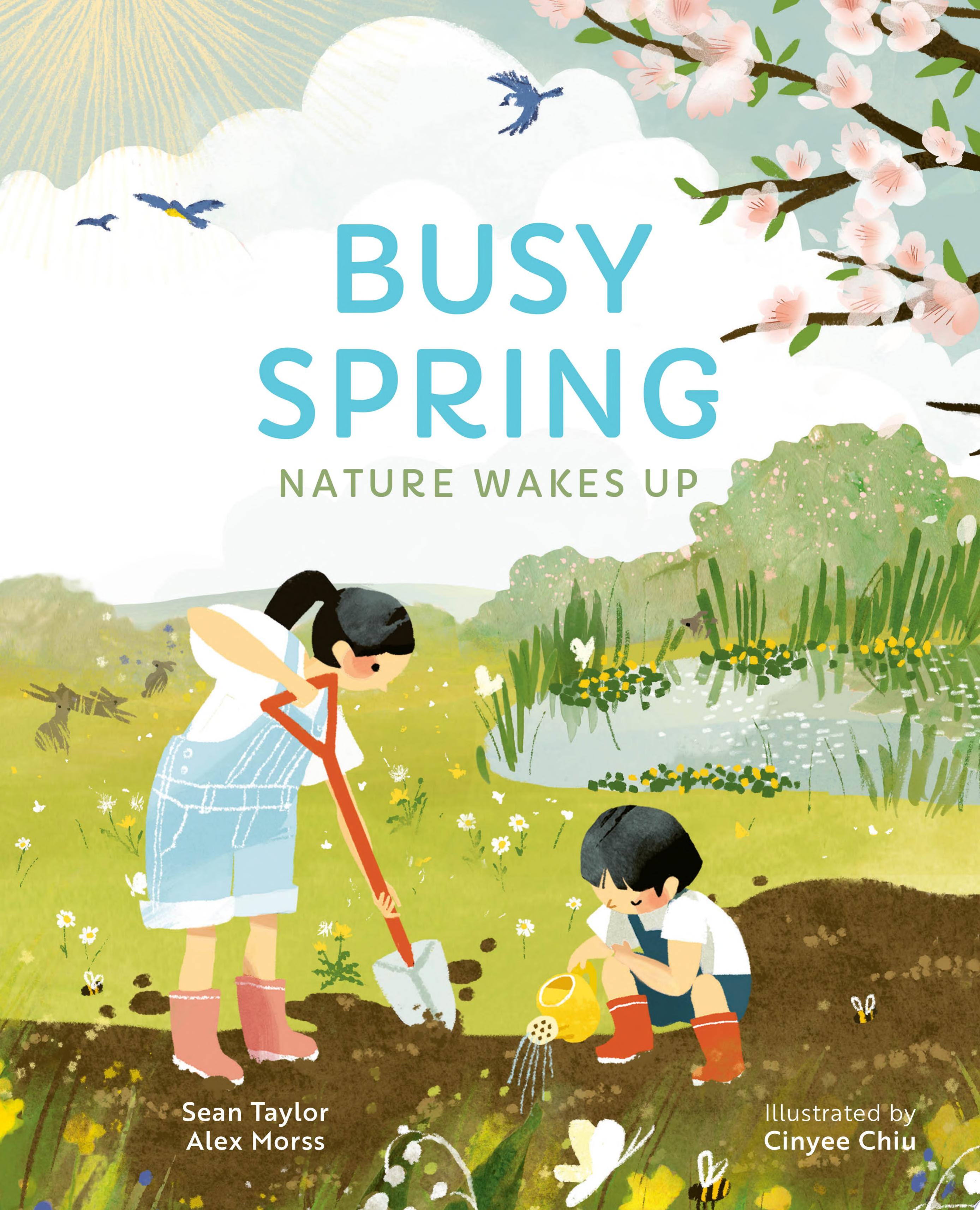 Image for "Busy Spring"