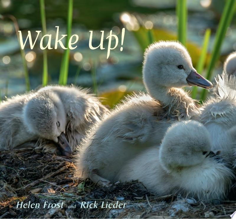 Image for "Wake Up!"