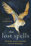 Image for "The Lost Spells"
