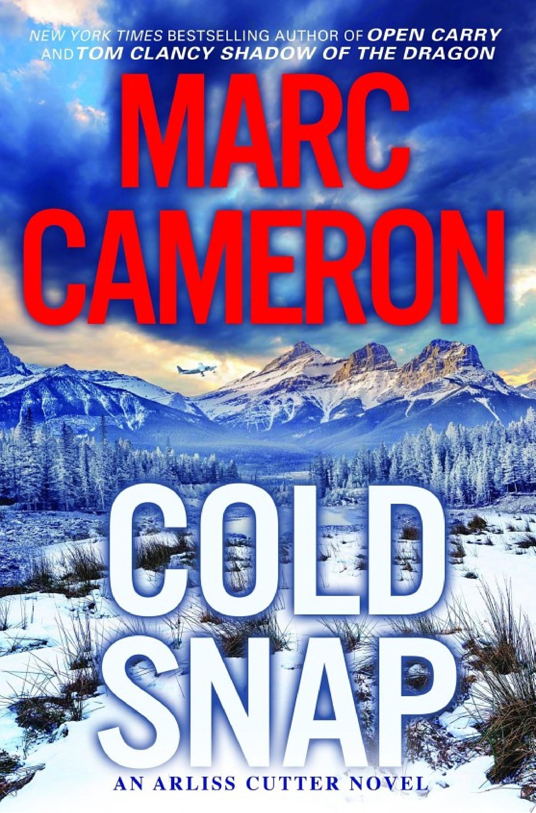 Image for "Cold Snap"