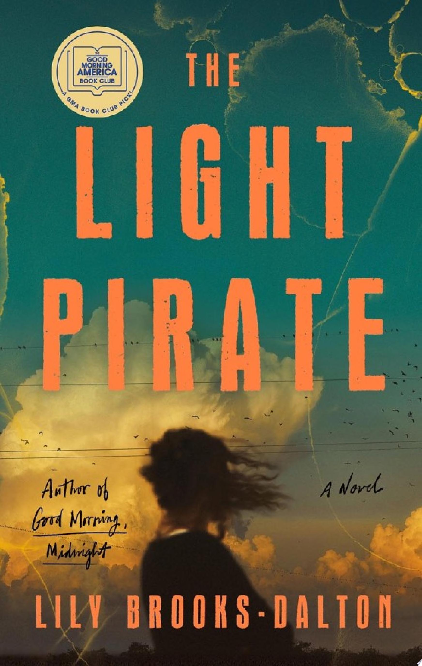 Image for "The Light Pirate"