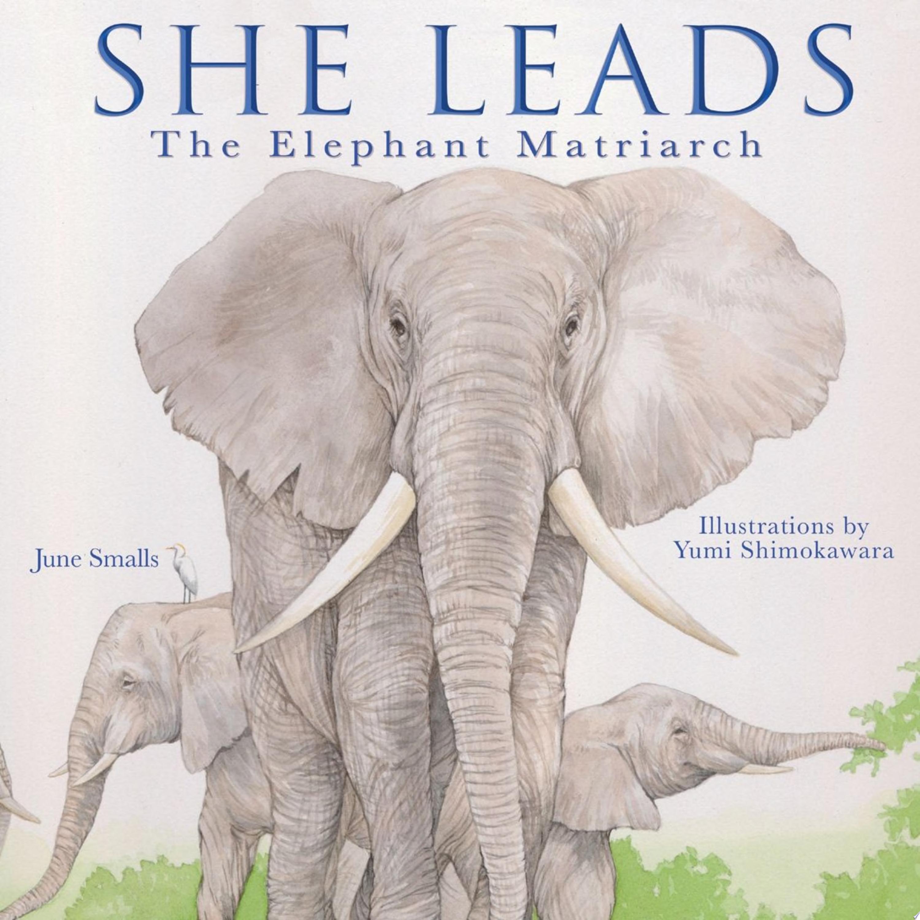 Image for "She Leads"