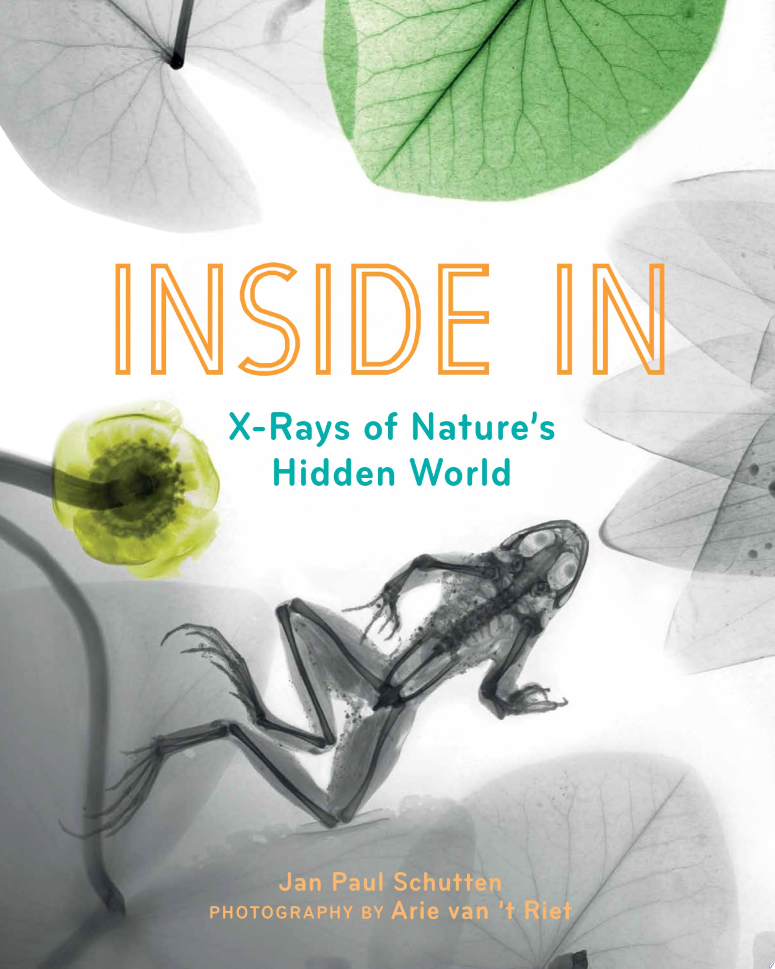 Image for "Inside In"