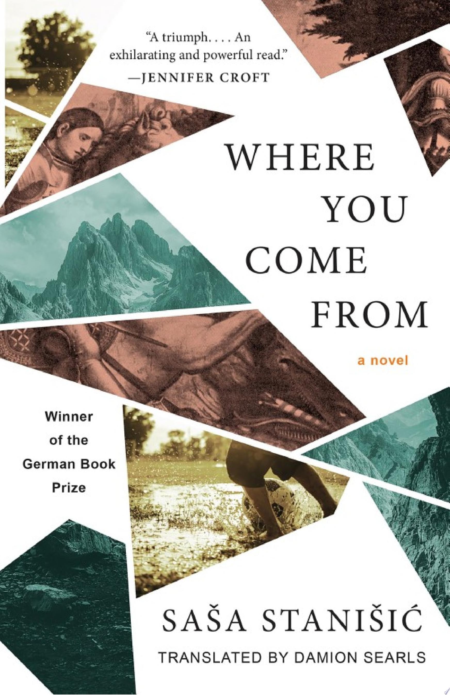 Image for "Where You Come From"