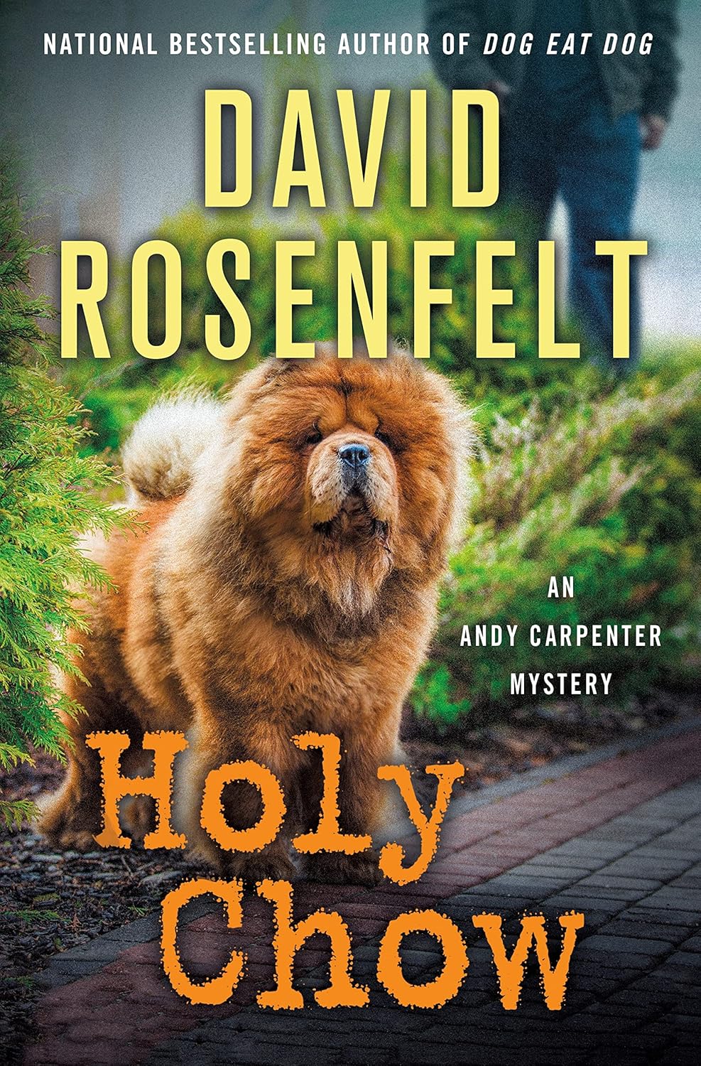 Holy Chow: An Andy Carpenter Mystery, by David Rosenfelt