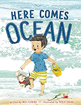 Here Comes the Ocean book cover