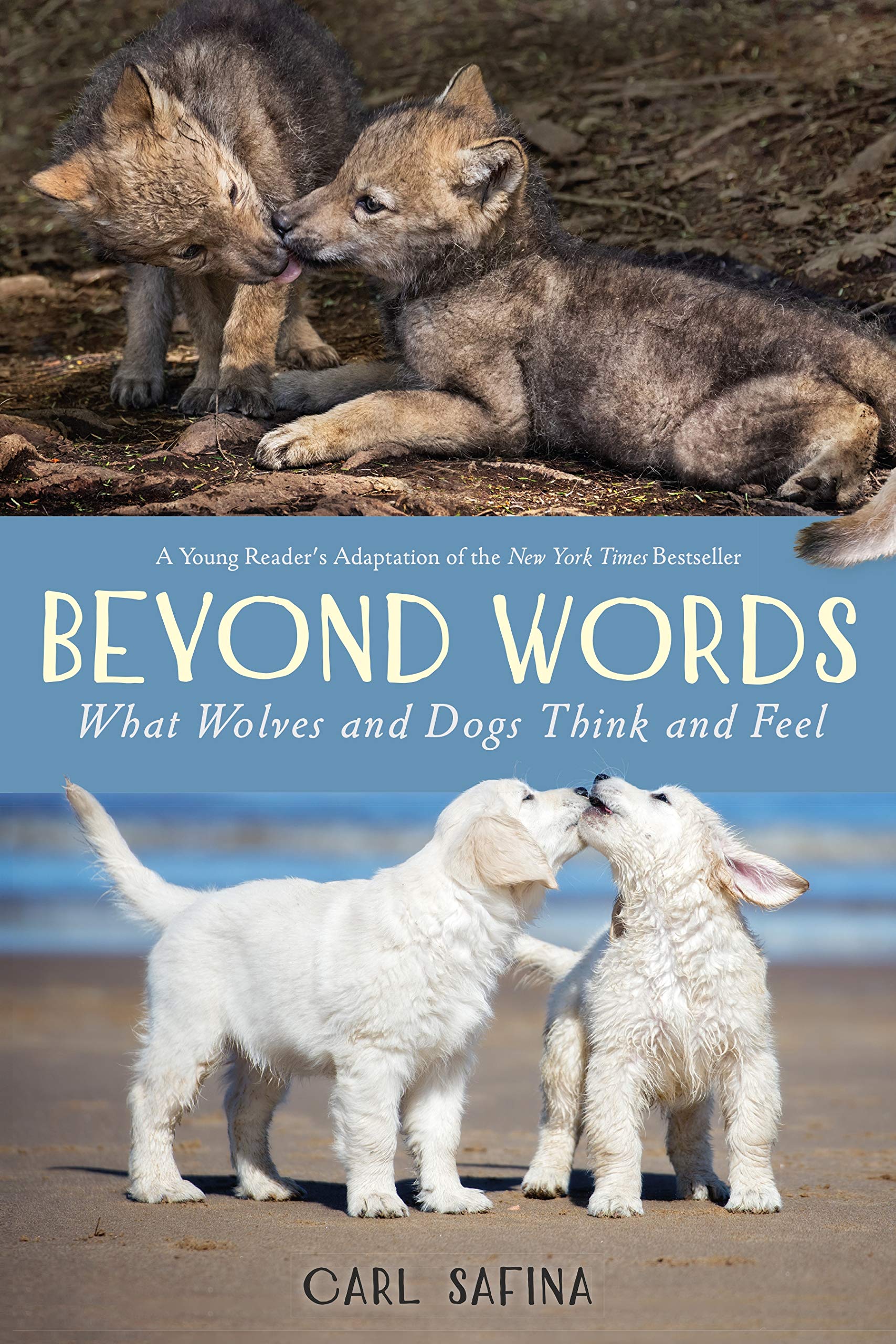 Image for "Beyond Words: What Wolves and Dogs Think and Feel (A Young Reader&#039;s Adaptation)"