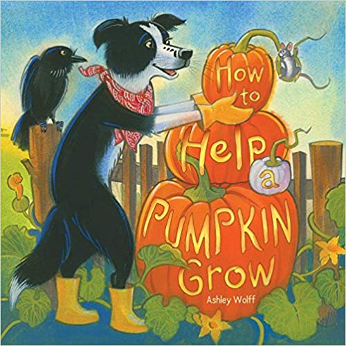 Image for "How to Help a Pumpkin Grow"