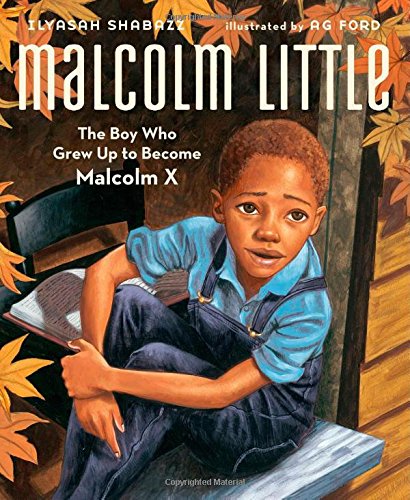 Book cover for Malcolm Little