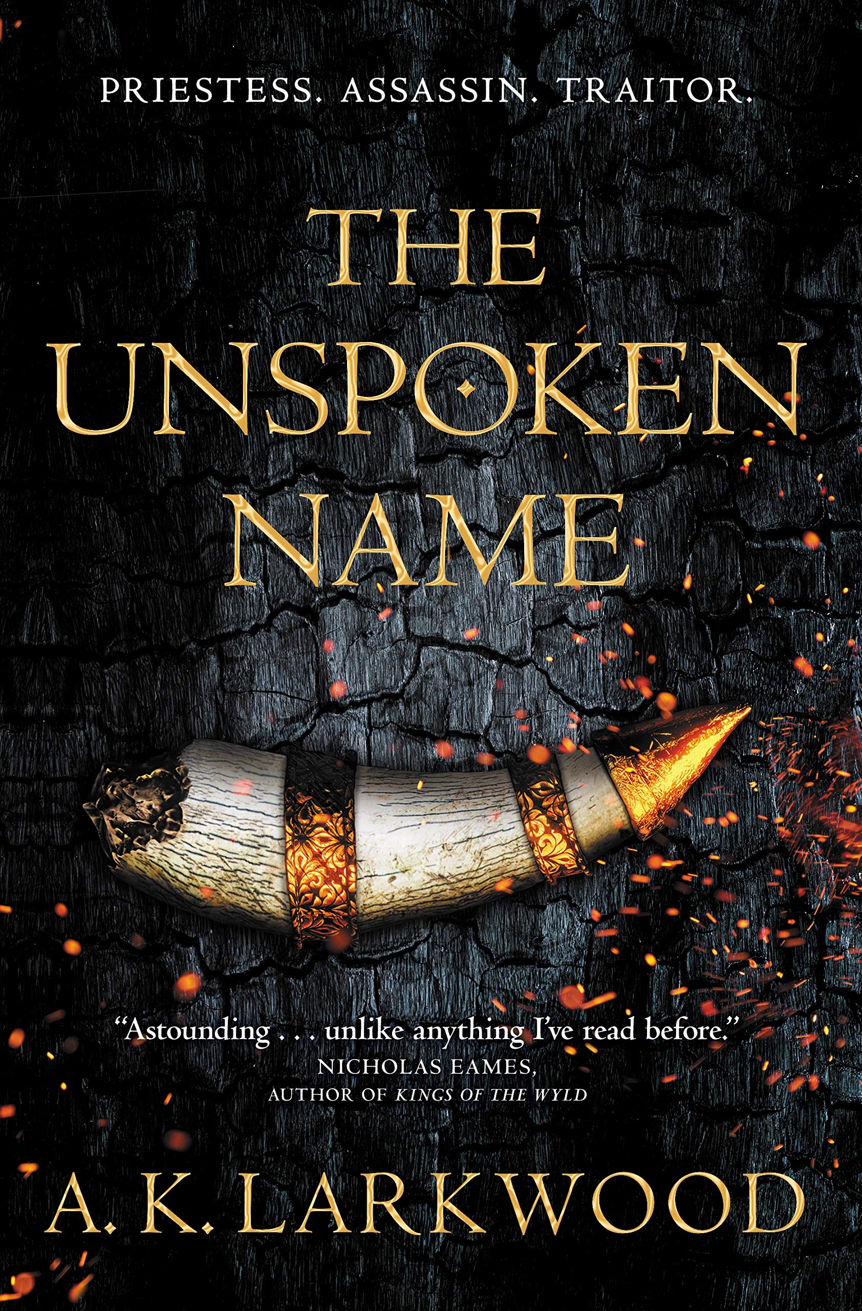 Cover of "The Unspoken Name"