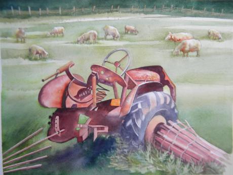 Image of tractor near animals