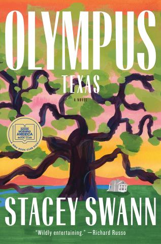 Cover of Olympus, Texas: A Novel by Stacey Swann.