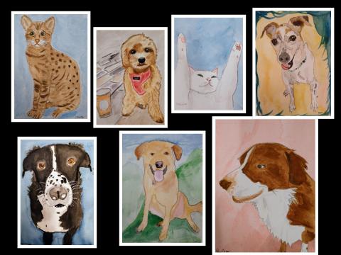 A collage of watercolor pet portraits, including 5 dogs and 7 cats