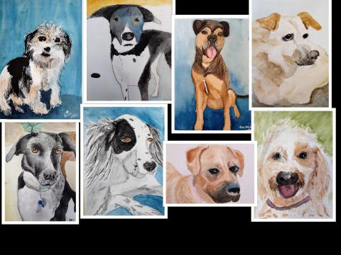 Eight watercolor portraits of dogs by artists of varying skill levels