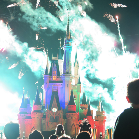 Image of the Magic Kingdom