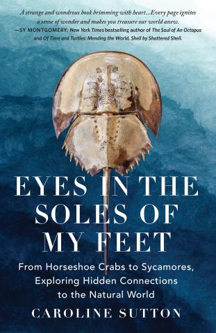 EYES IN THE SOLES OF MY FEET: From Horseshoe Crabs to Sycamores, Exploring Hidden Connections to the Natural World