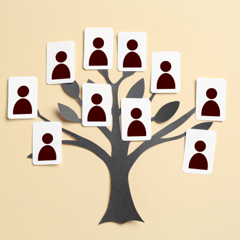 Image of a family tree