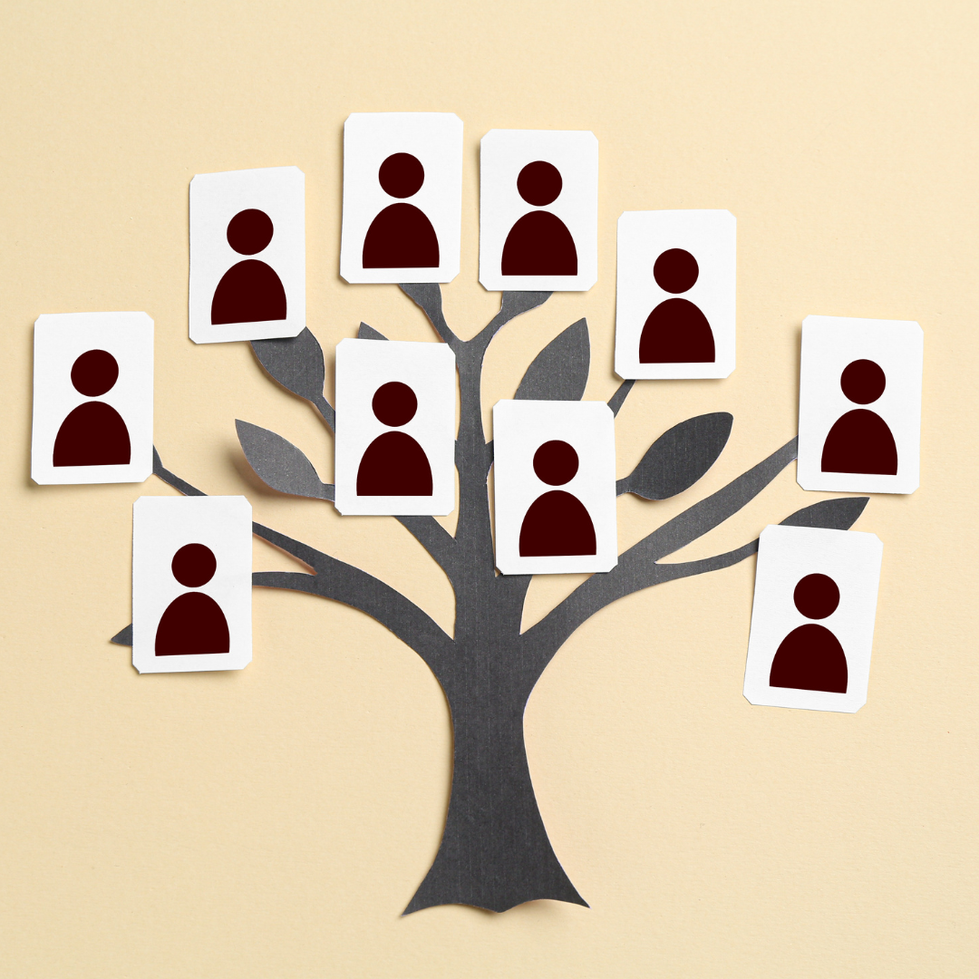 Image of a family tree