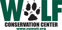 Logo for the Wolf Conservation Center with green and black text, a paw print, and their web address www.nywolf.org