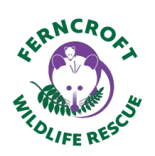 The logo for Ferncroft Wildlife Rescue, green text around a cute purple opossum
