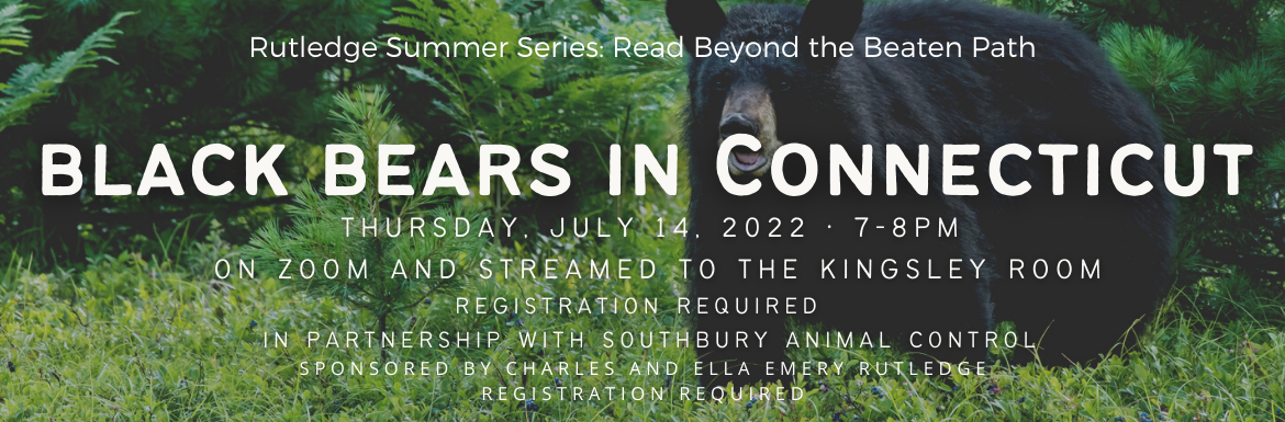 Black Bears in Connecticut, Thursday, July 14, 2022, 7-8pm, On Zoom and Streamed to the Kingsley Room, Registration Required