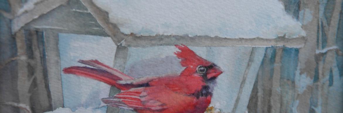 Image of red bird near birdhouse