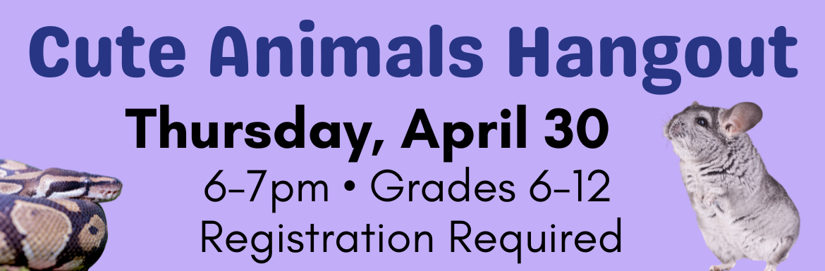 Learn more about the event "Cute Animals Hangout" for Grades 6-12 on Thursday, April 30 from 6-7pm.