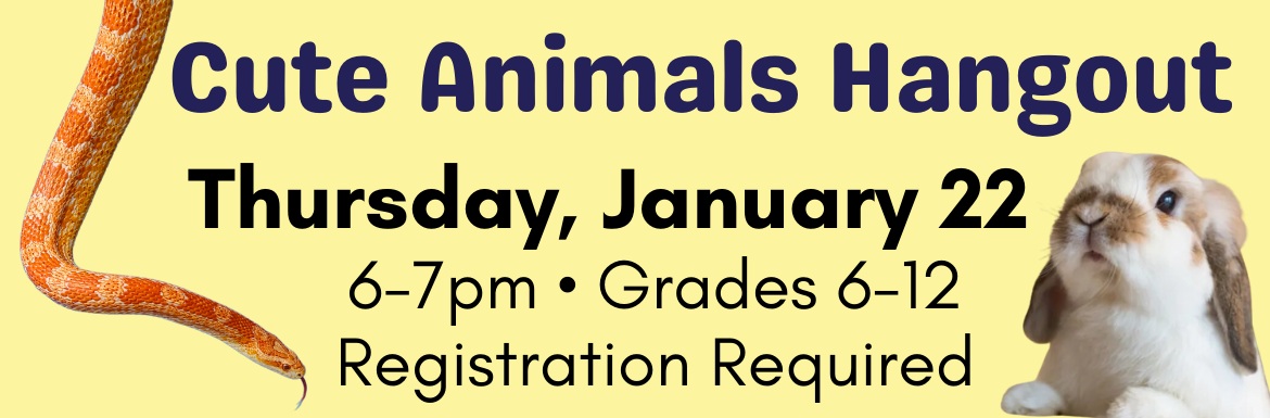 A yellow slide with the text "Cute Animals Hangout! Thursday, January 22, 6-7pm, Grades 6-12, Registration Required" and pictures of an orange corn snake and white and tan lop-eared rabbit