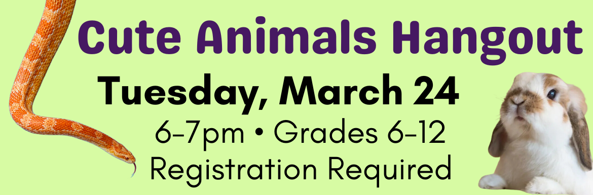 Learn more about the event "Cute Animals Hangout" on Tuesday, March 24 from 6-7pm.